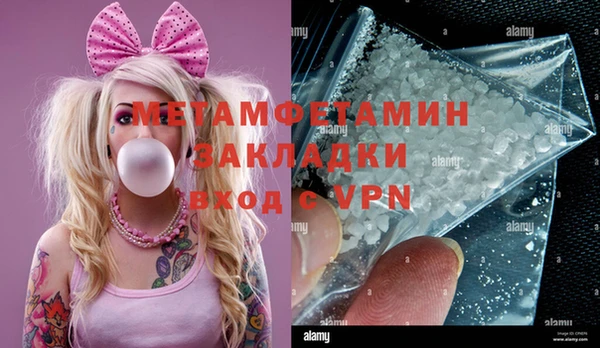 гидра Няндома