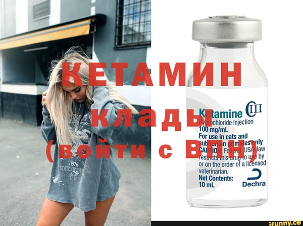 гидра Няндома