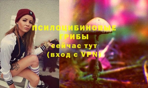 ECSTASY Абаза
