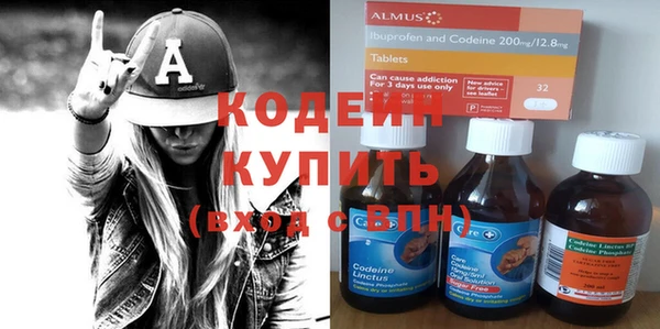 гидра Няндома